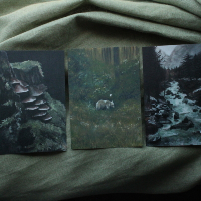 Wilderness