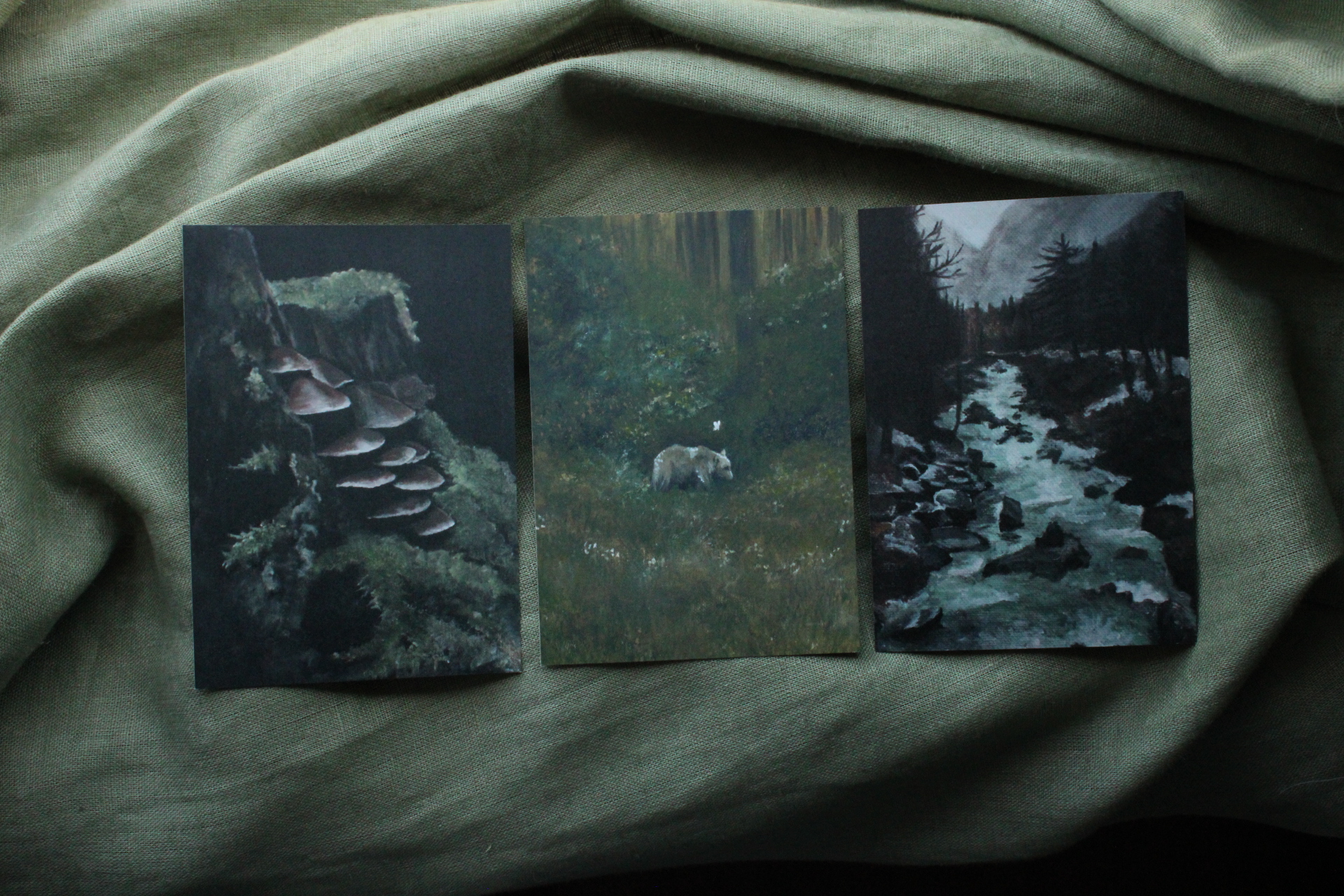 Wilderness