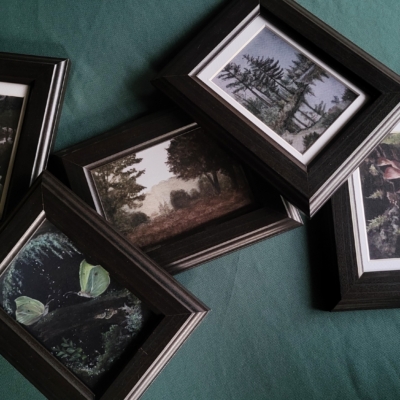 5 prints in zwarte lijstjes